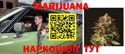 бошки Шелехов
