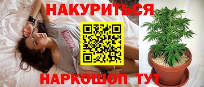 амф Шахты