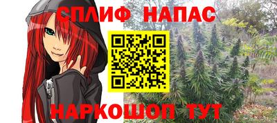 амф Шахты