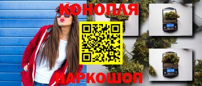 бошки Шелехов