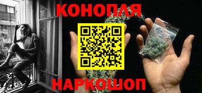 бошки Шелехов