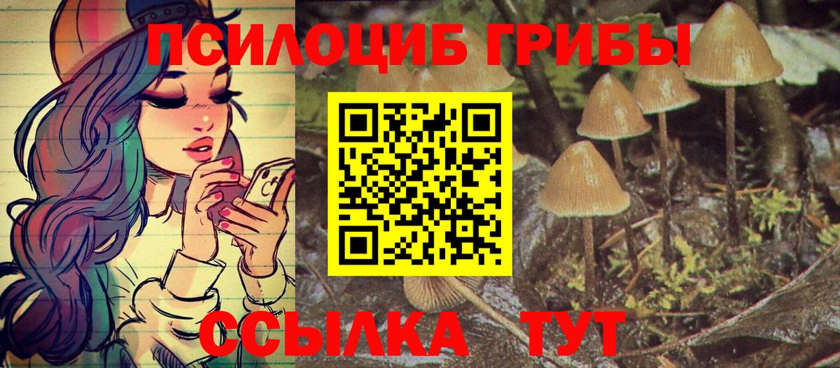 Псилоцибиновые грибы GOLDEN TEACHER Каспийск