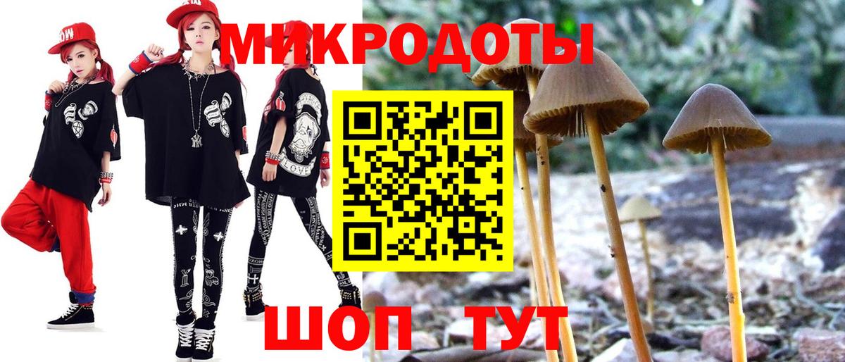 Каспийск  Галлюциногенные грибы мицелий  Вход с VPN 